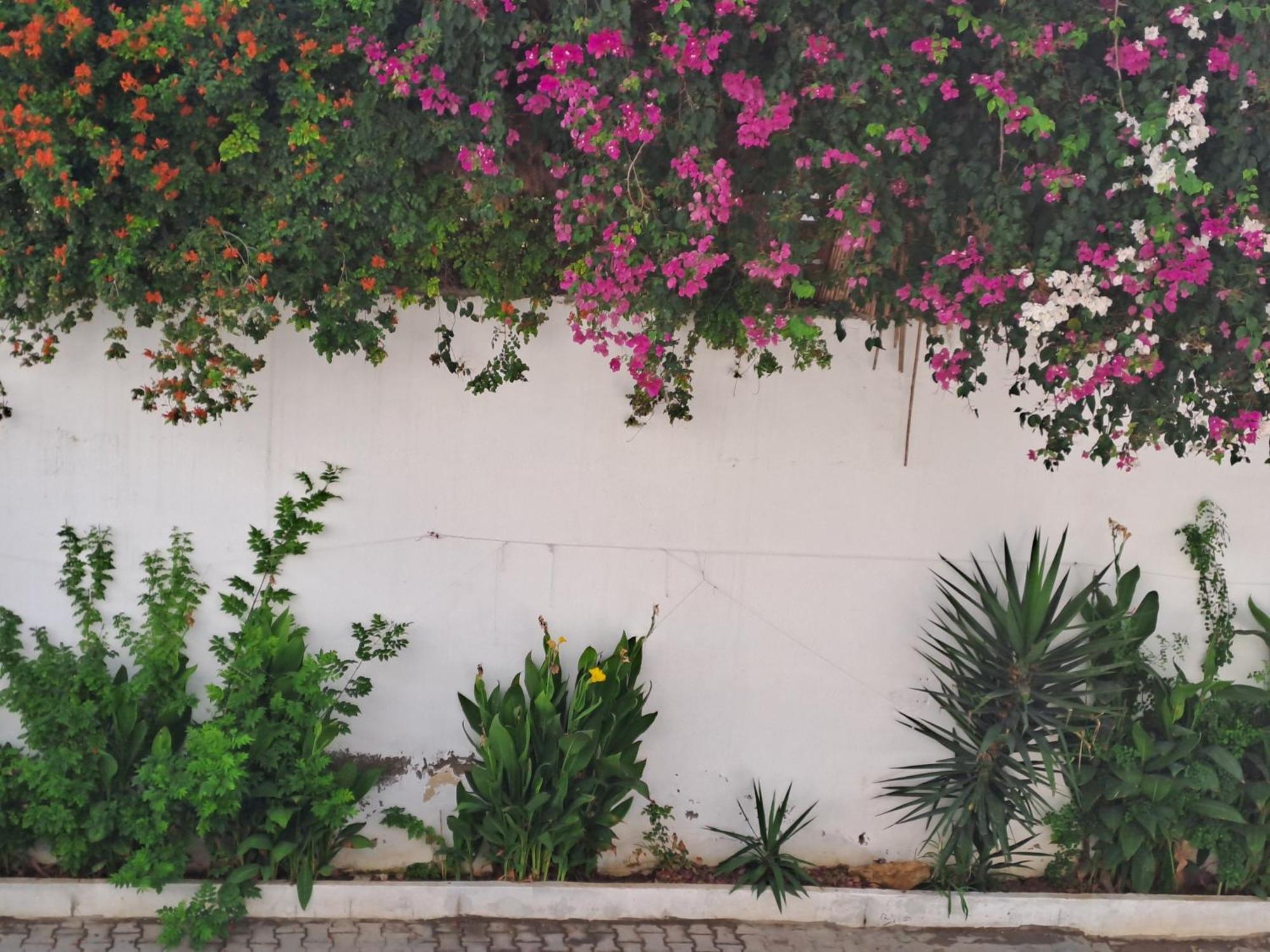 Coquet Chez Lou - Marsa Tunis