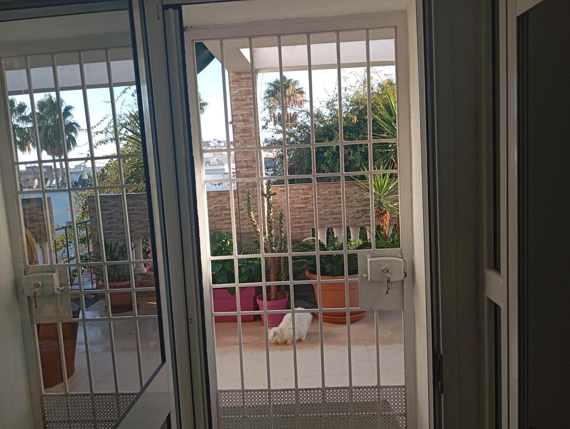 Coquet Chez Lou - Marsa Apartment *