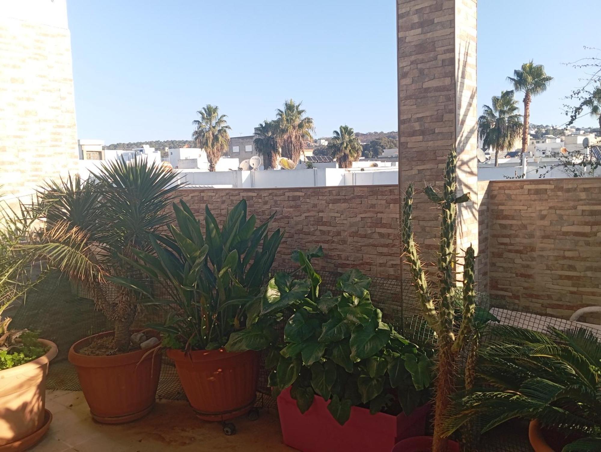 Coquet Chez Lou - Marsa Apartment